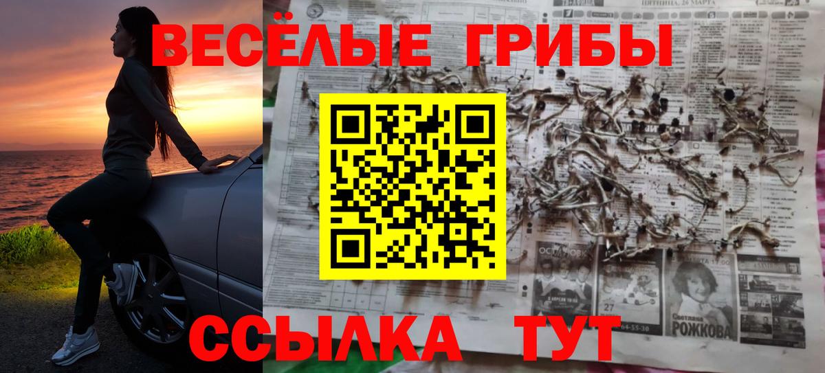 Псилоцибиновые грибы Magic Shrooms  Псилоцибиновые грибы мицелий  закладки  Вход с VPN  Кимовск 