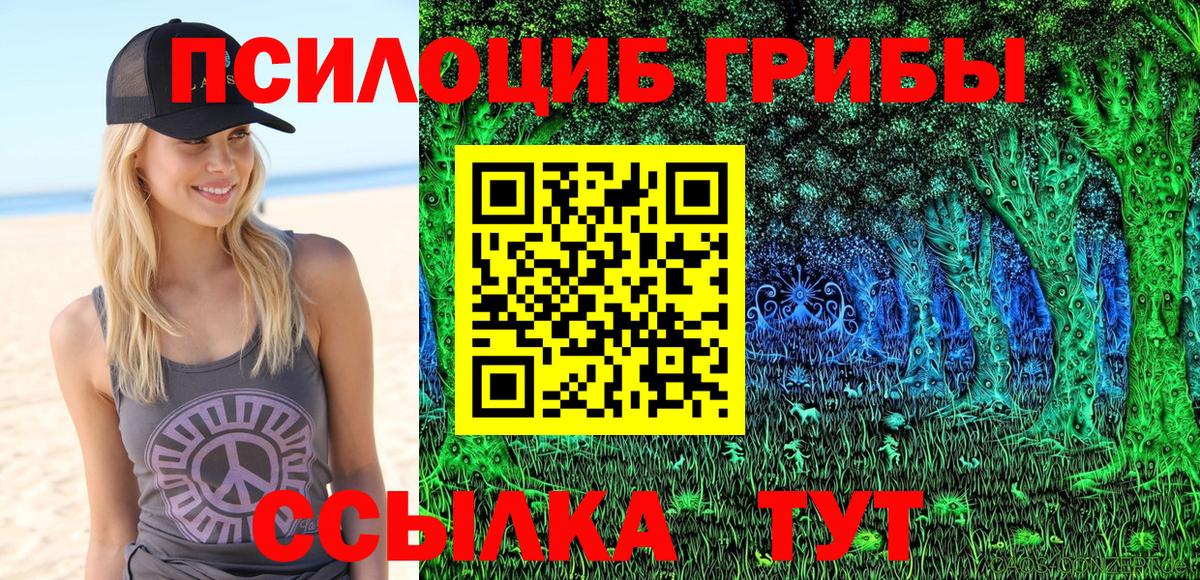 Галлюциногенные грибы Magic Shrooms Кимовск