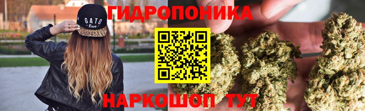 Шишки марихуана LSD WEED  Шишки марихуана сатива  Бошки Шишки конопля  Кимовск  Вход с VPN 